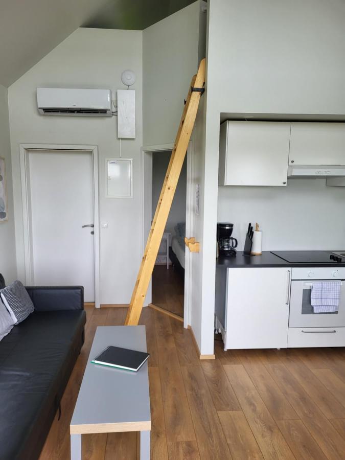 Holar Countryside Cabin 1 셀포스 외부 사진